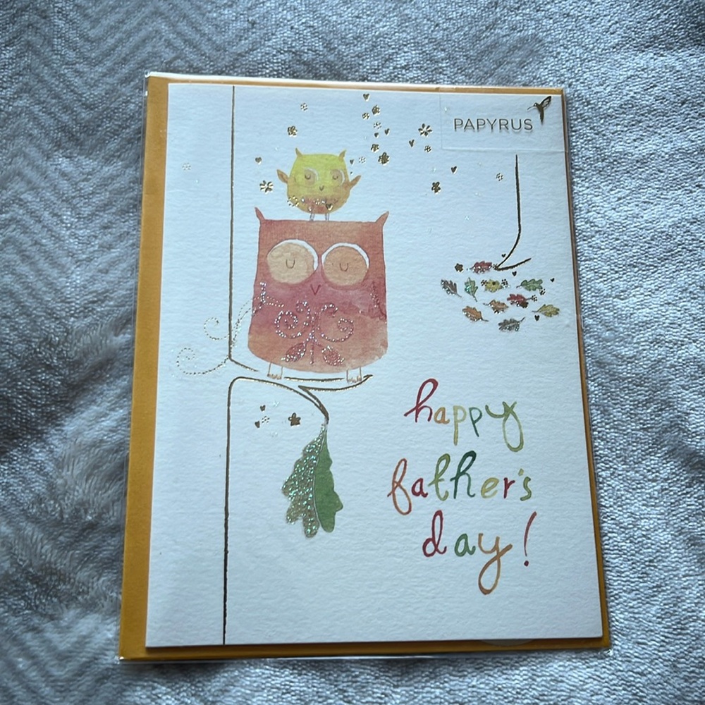 💚5/$25 Papyrus Bundle | Father’s Day